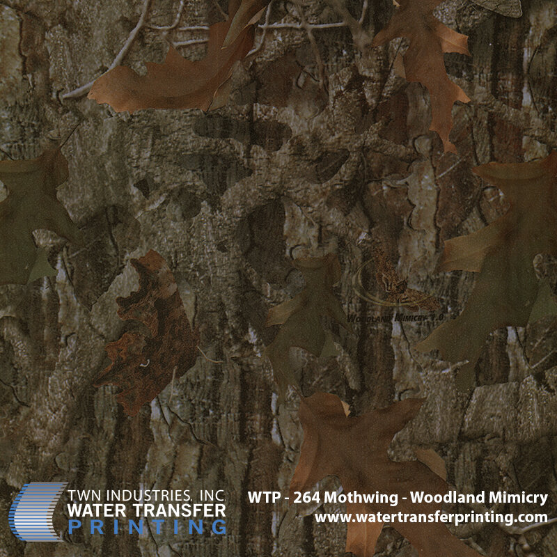 WTP-264 Mothwing-Woodland Mimicry.jpg