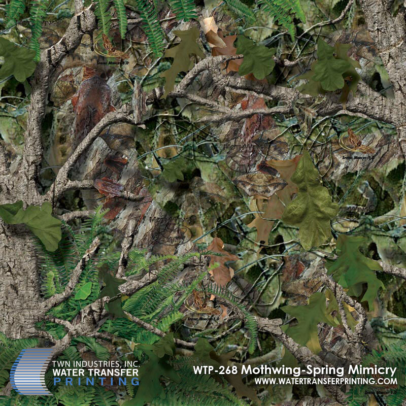 WTP-268 Mothwing-Spring Mimicry.jpg