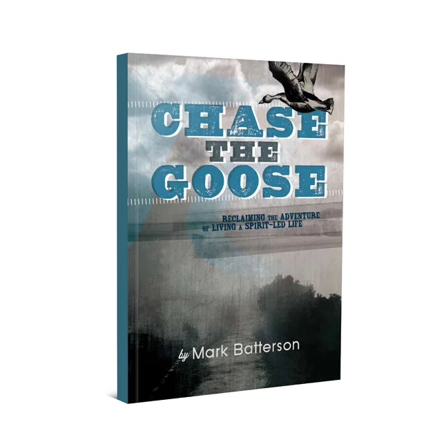 WP_ChaseTheGoose-3D.jpg