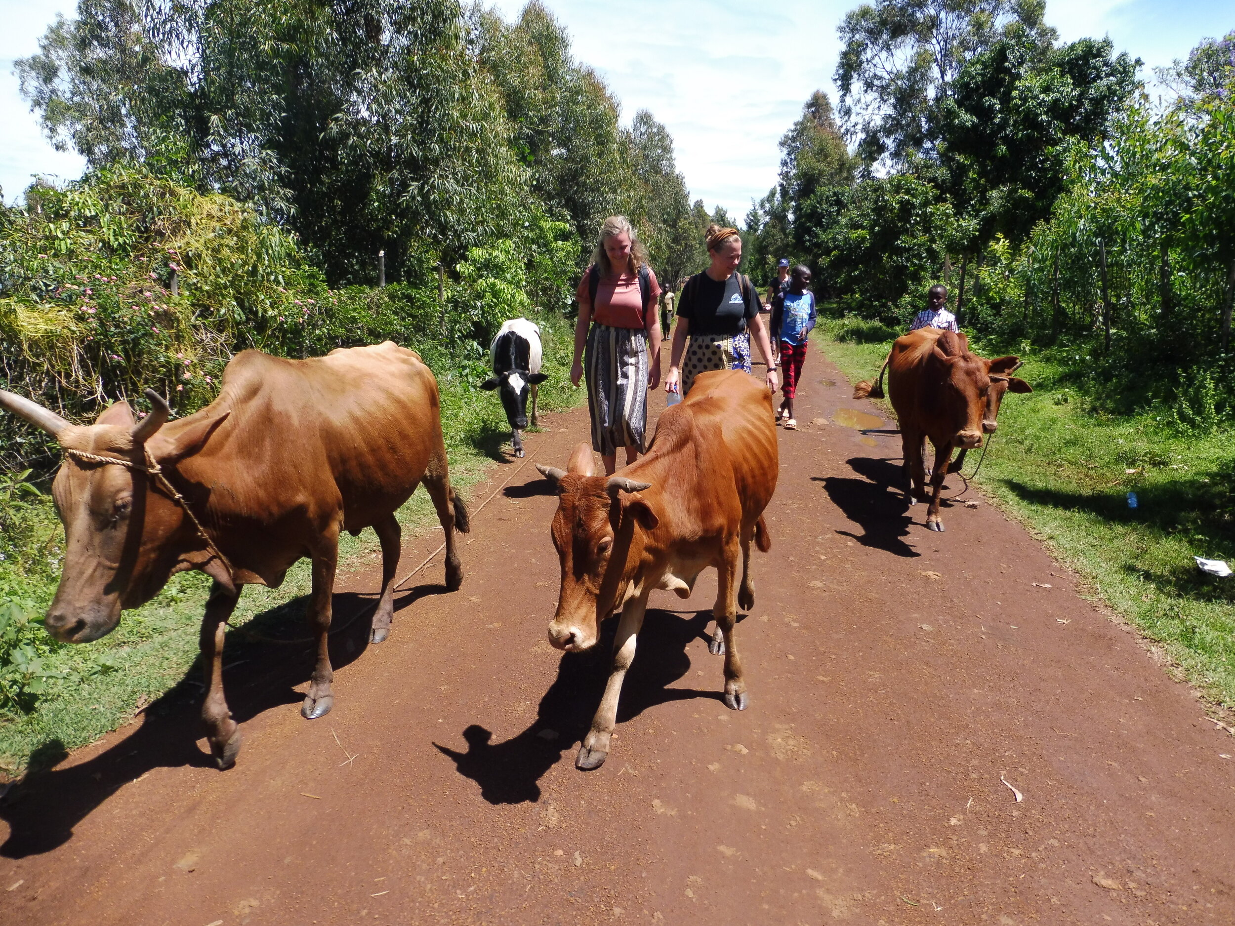 Nyakach plateau walking (1).JPG