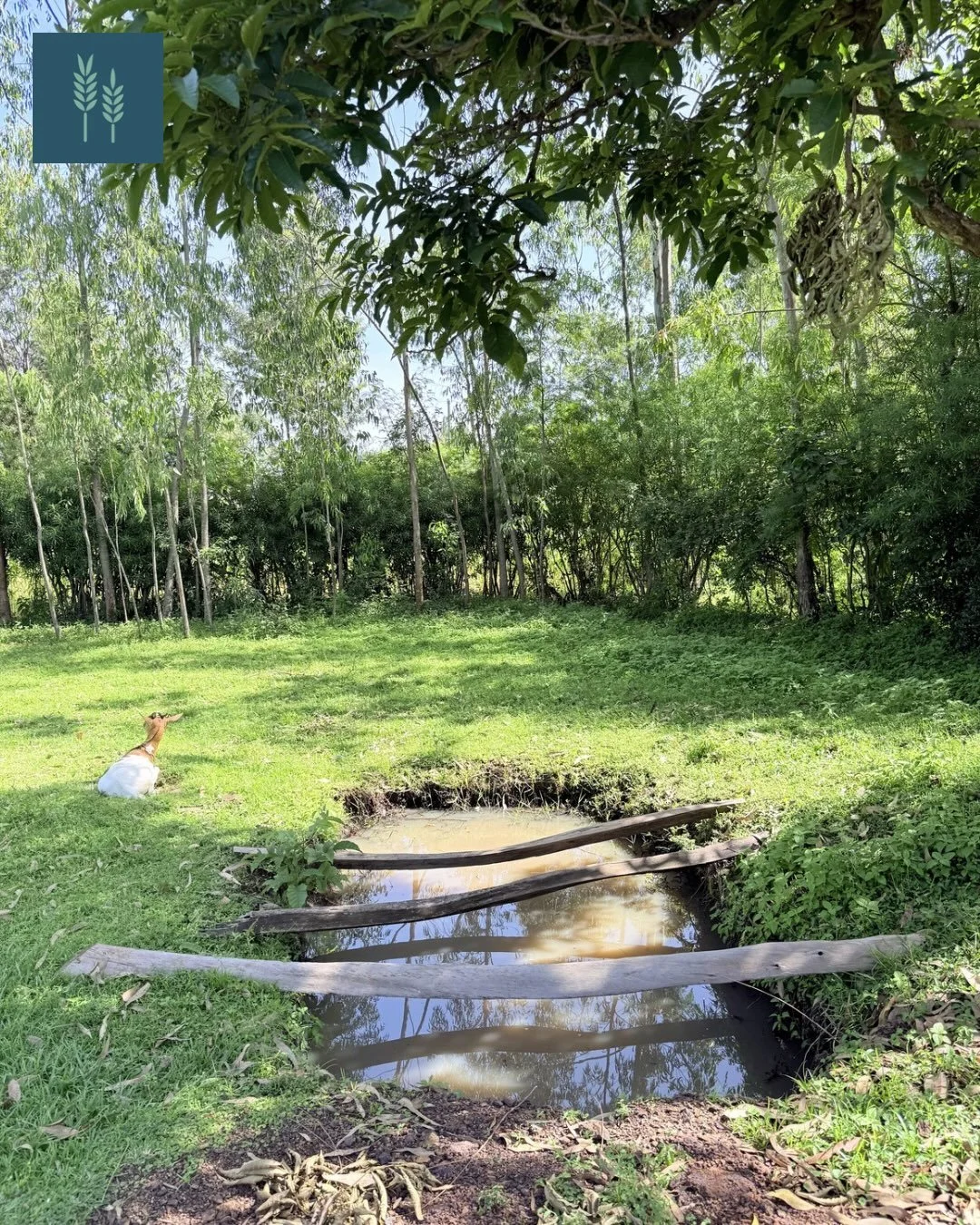 This is a &ldquo;borehole.&rdquo; A borehole is a hole drilled deep into the ground in order to obtain water. In Kenya, there are two seasons: the rainy season and the dry season. In the rainy season, most Kenyans on the plateau collect rainwater wit