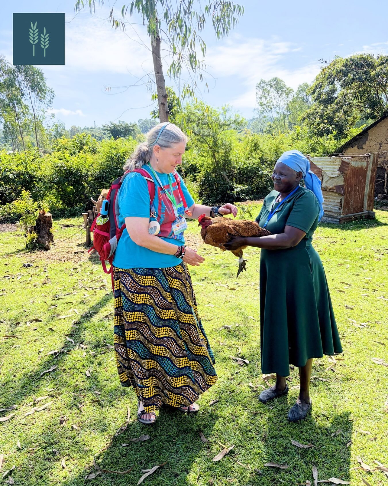 What does it mean to give? 
In the gospels, Jesus tells a story about two different gifts. A rich man makes a show of his gift, by dropping loads of money into the offering plate, and a poor woman secretly gives her only two coins. Who gave the bette