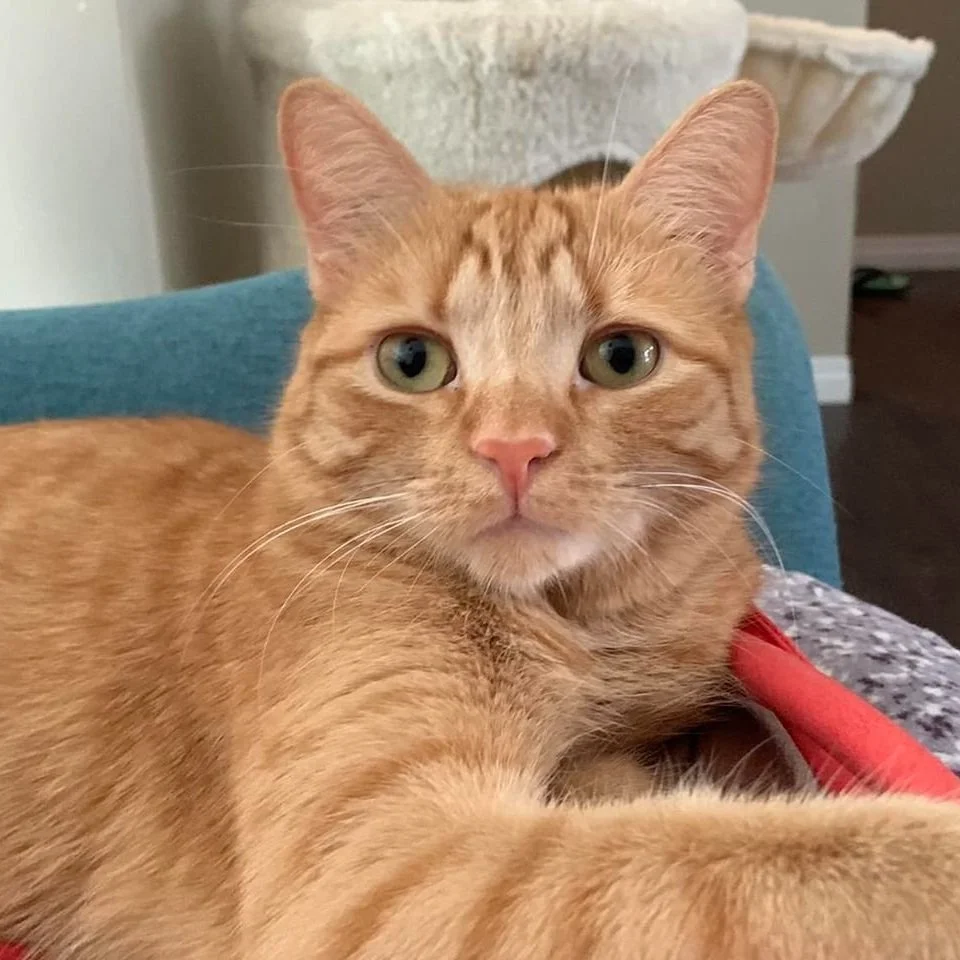 RUSTY'S FIP STORY