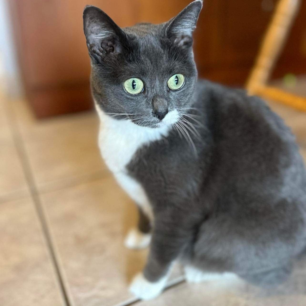 MARTHA'S FIP JOURNEY