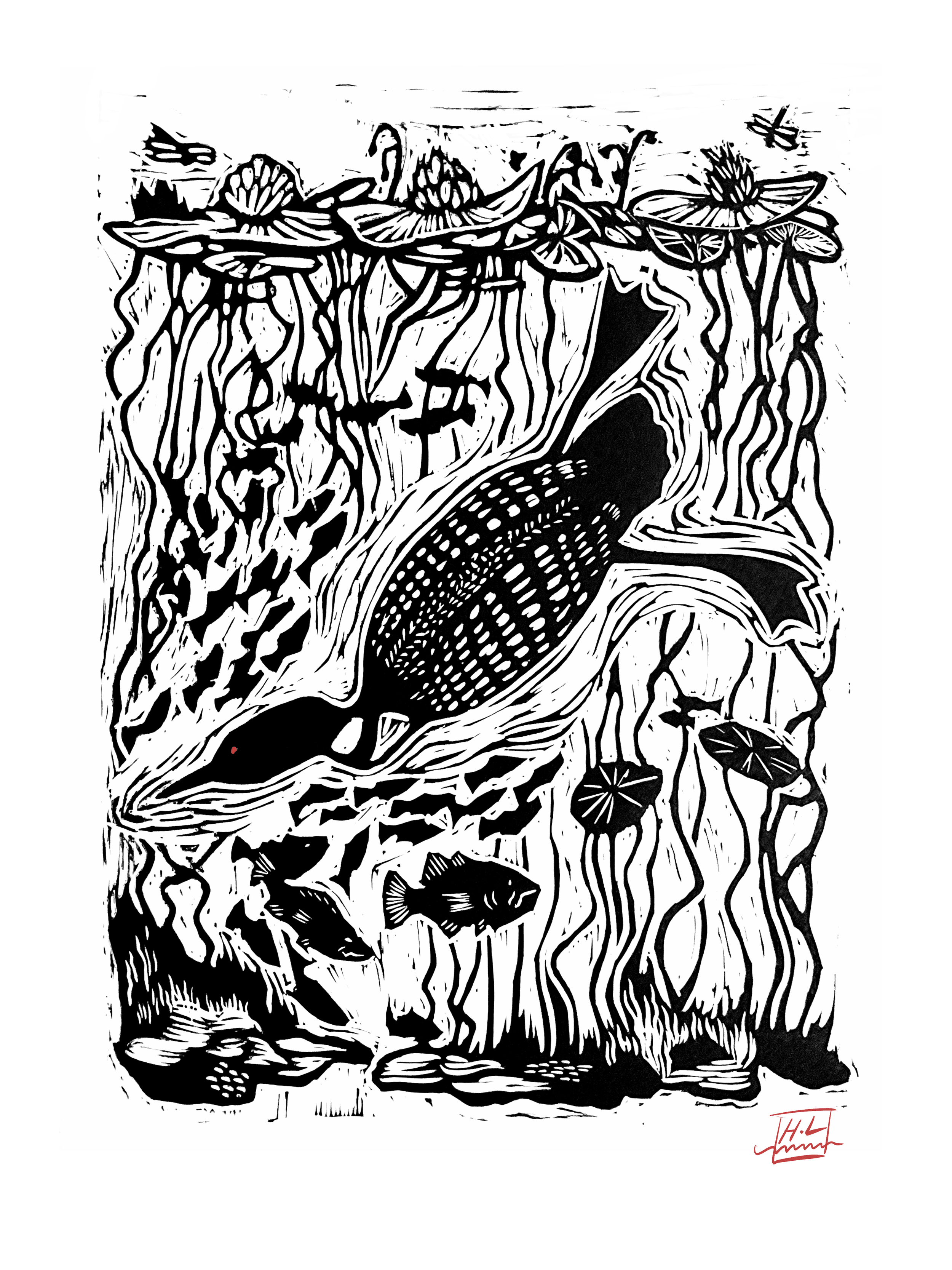 Loon Dive for website.png