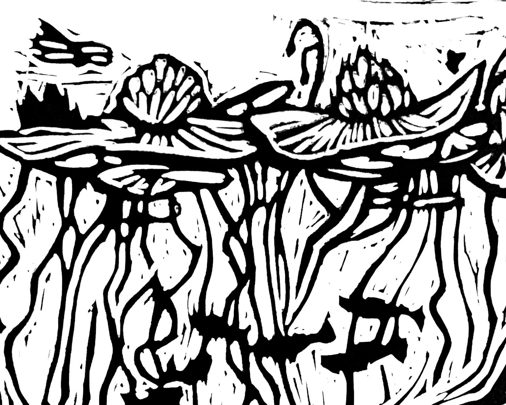 Loon Close Up2.jpg