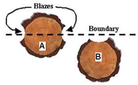 Marking Boundaries: Essential and Educational