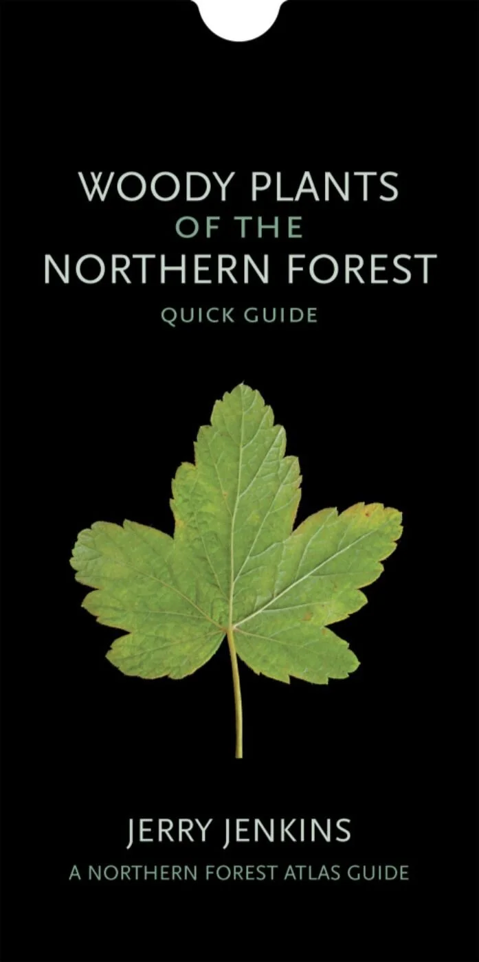 Woody Plants Quick Guide