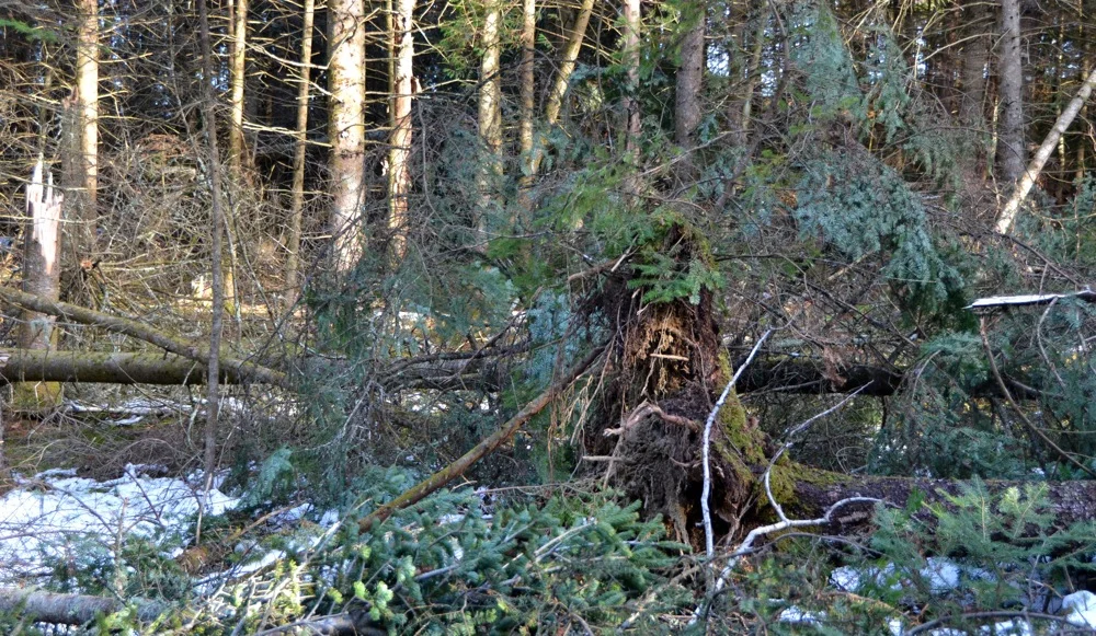 Learning the Lessons of Powerful Storms