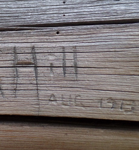 Writing on an Old Logging Camp