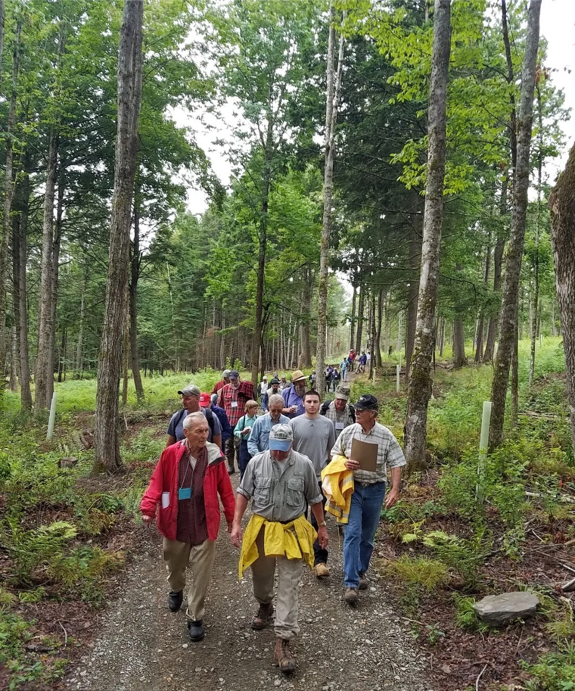 Maine Woodland Owners