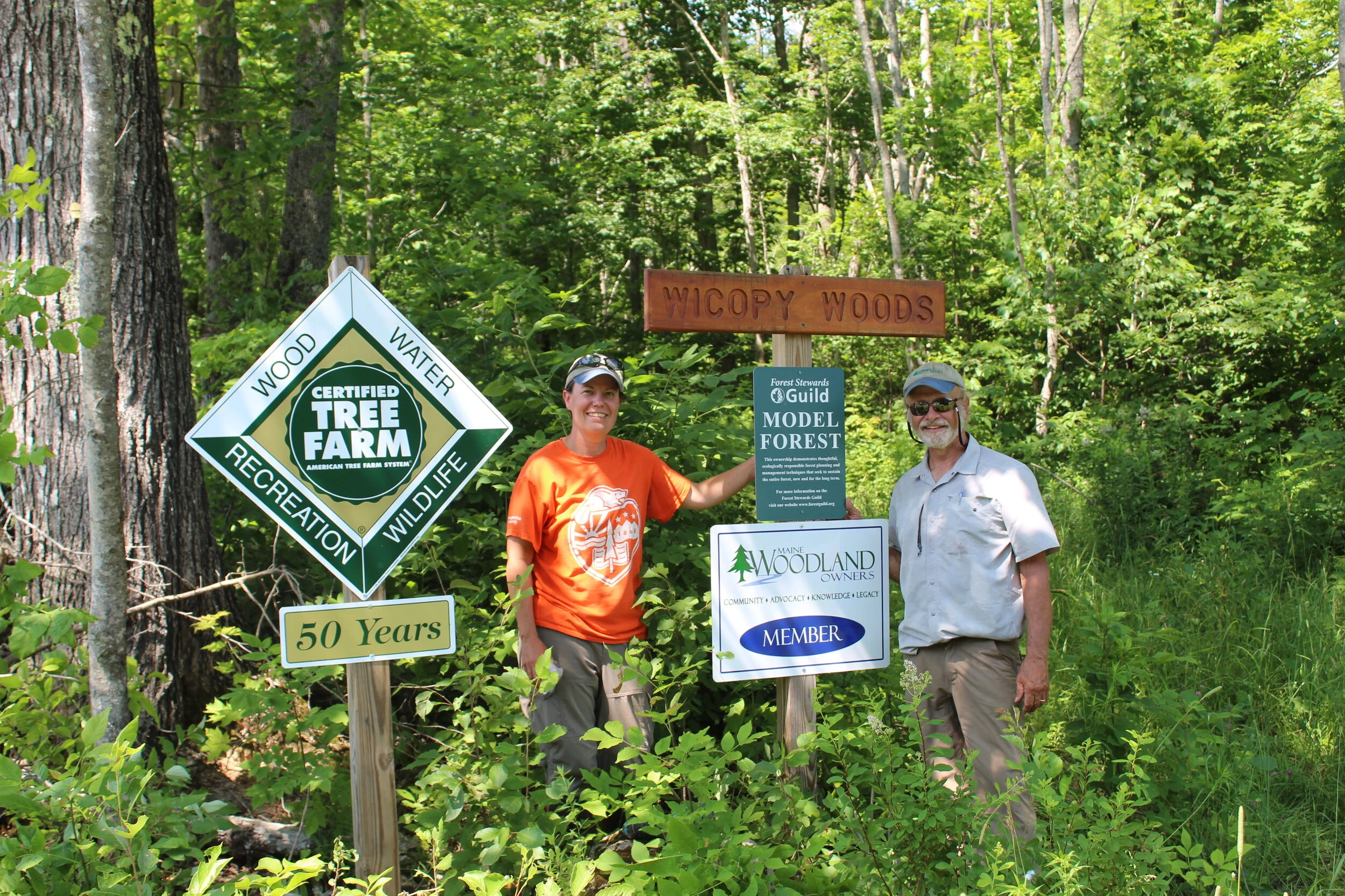 50 Years of Exemplary Forest Management