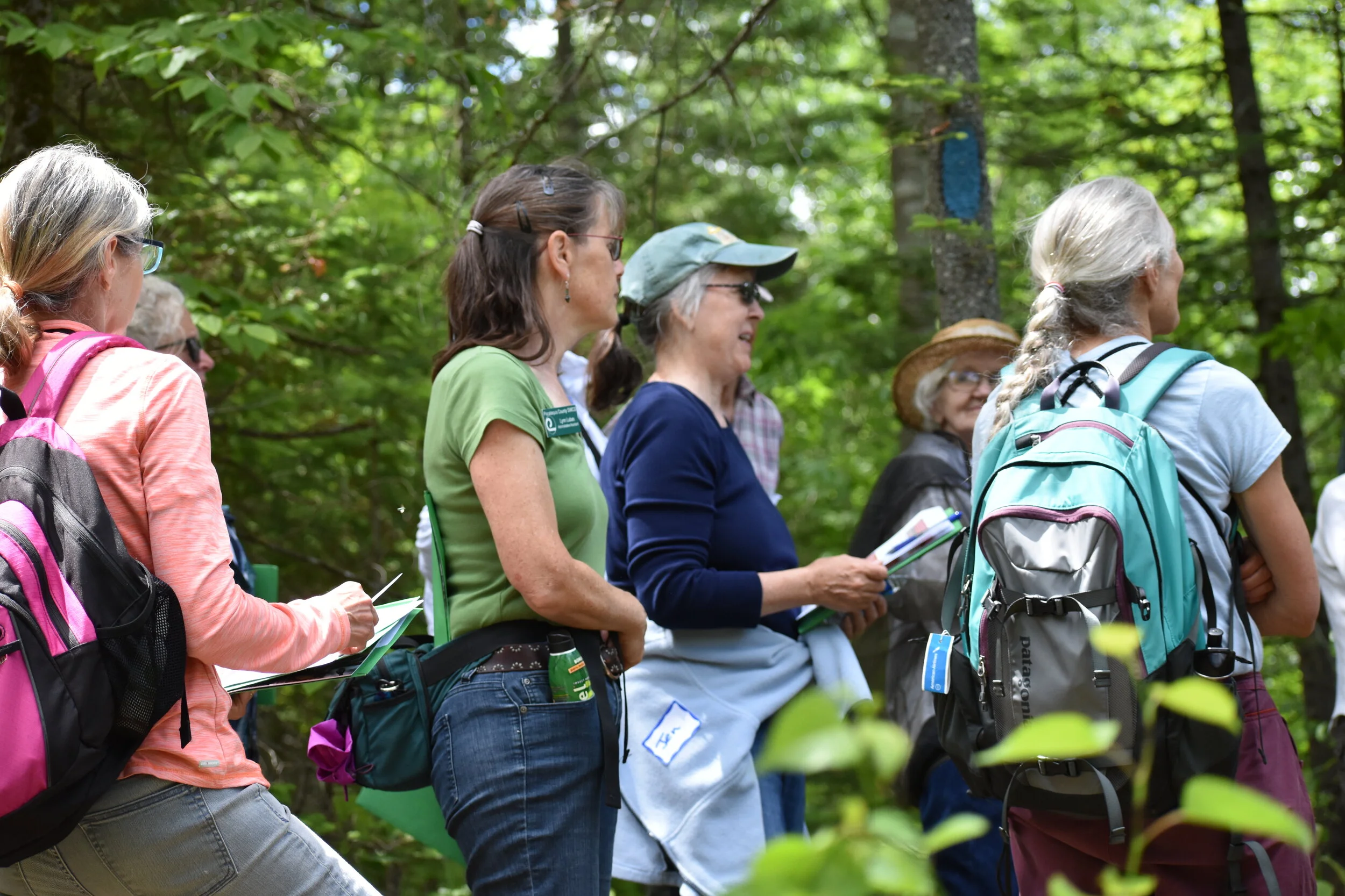 Program Aims to Engage Women Woodland Owners