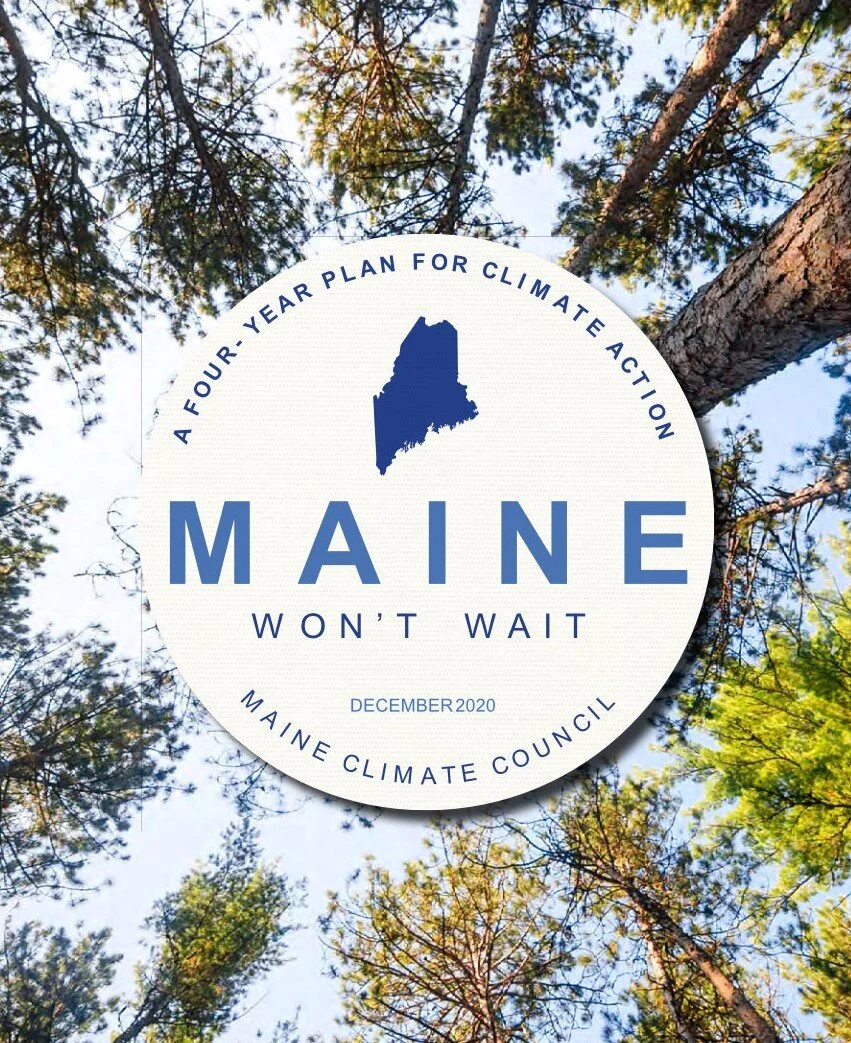 Climate Change, Carbon, and Forests — Maine Woodland Owners