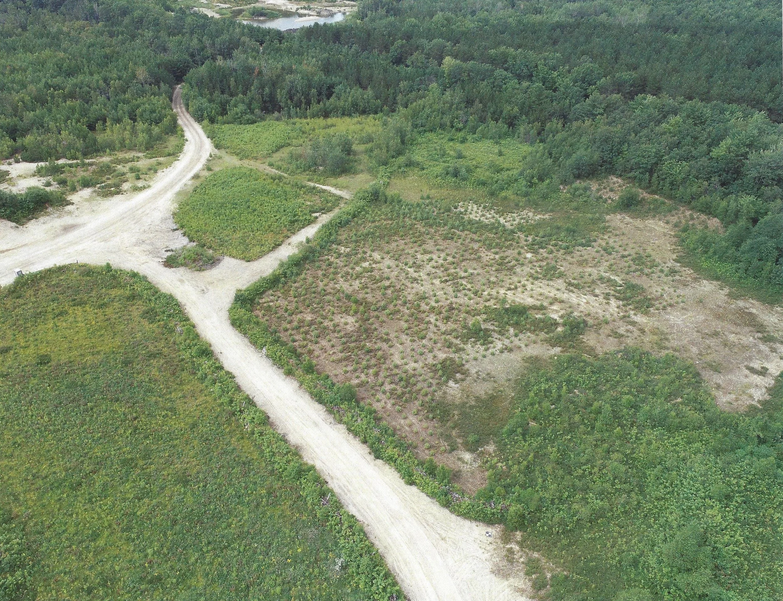 Restoration at Chandler Gravel Pit
