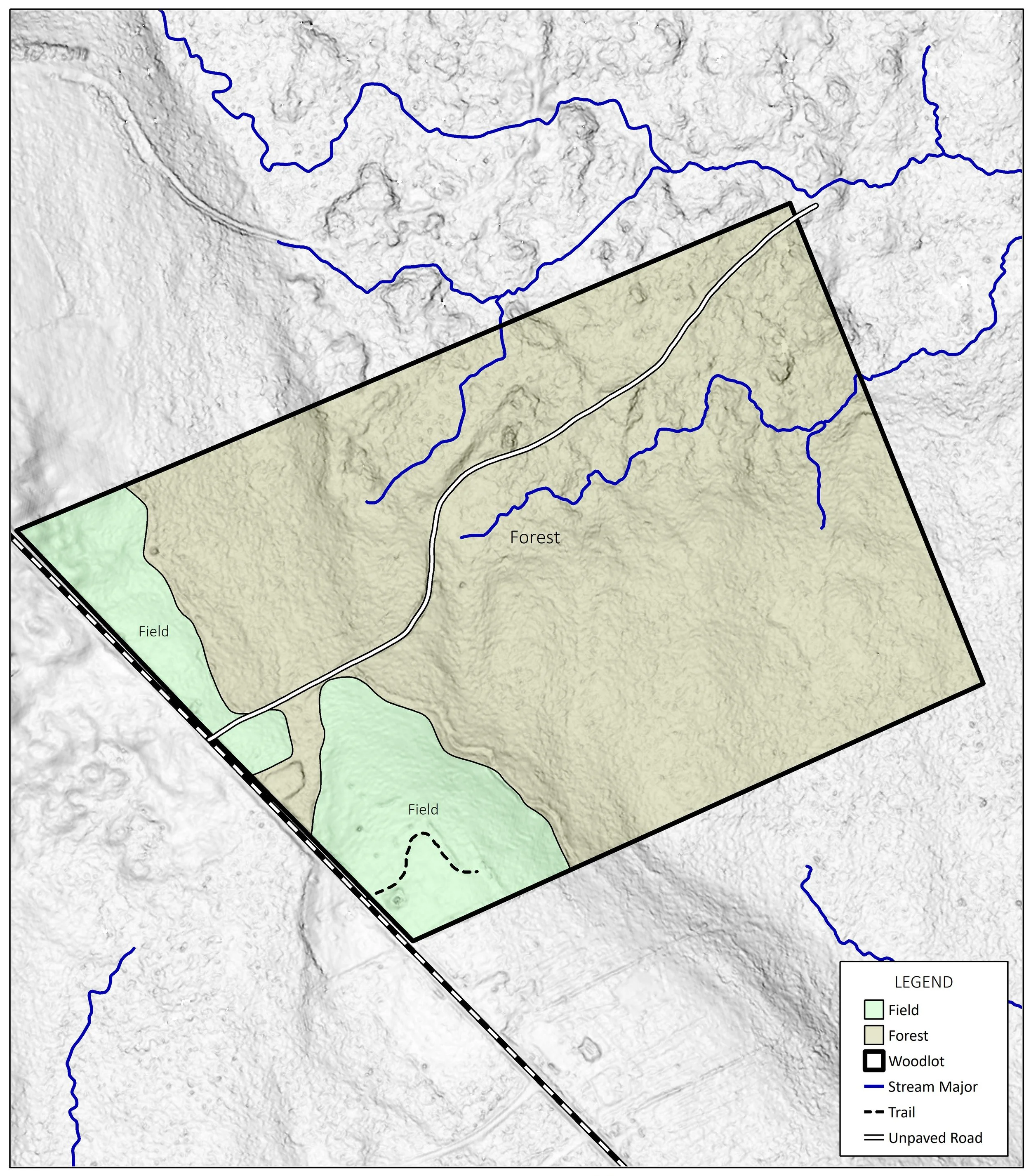 Tree Growth Tax Program Isn't Always the Right Fit