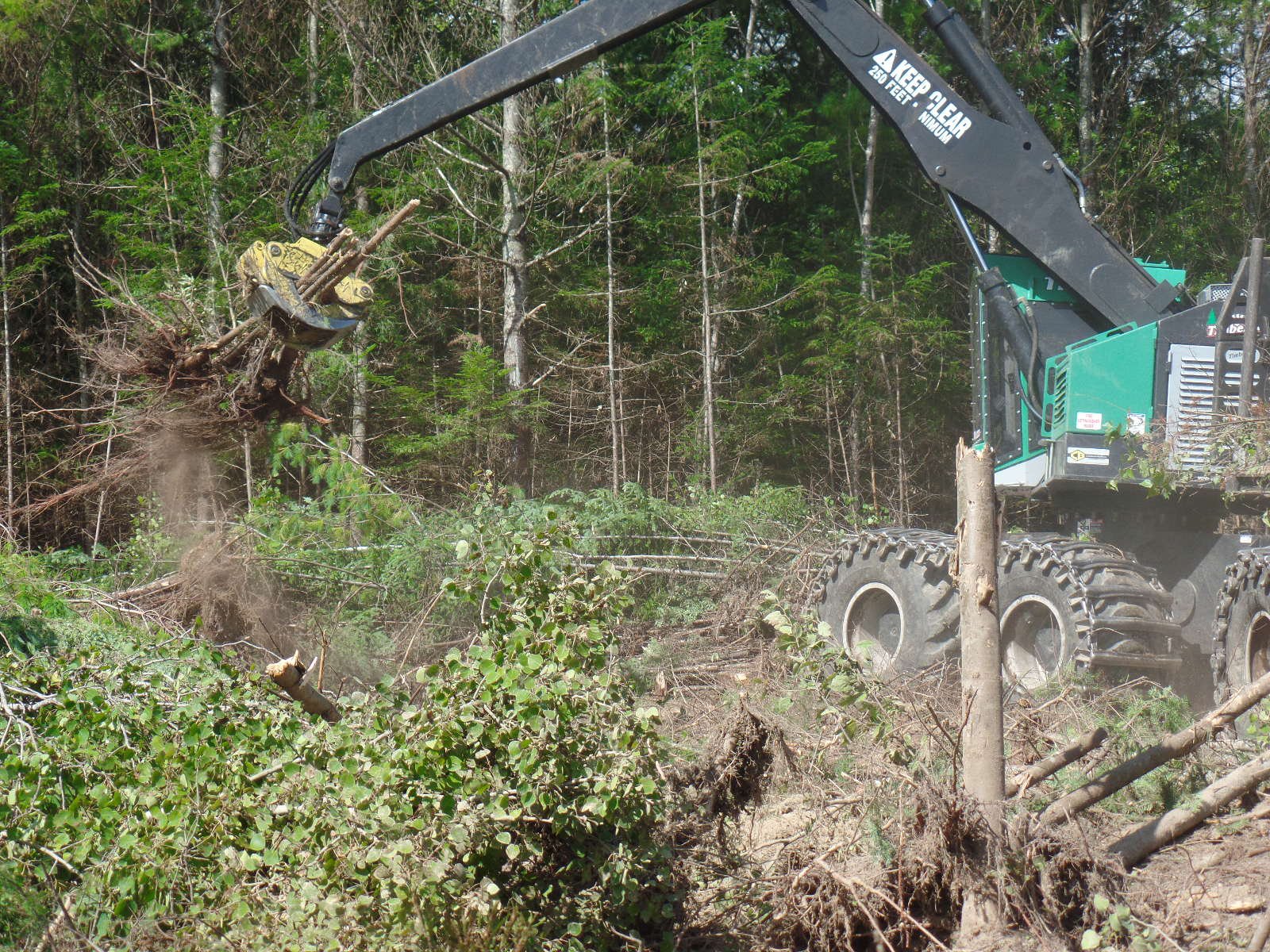 forwarder in action.jpg