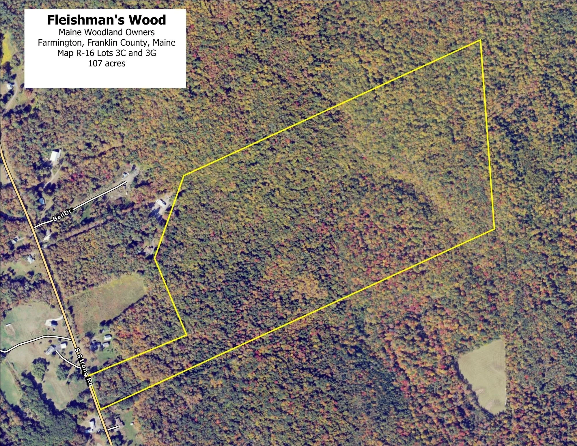 Fleishman's Wood
