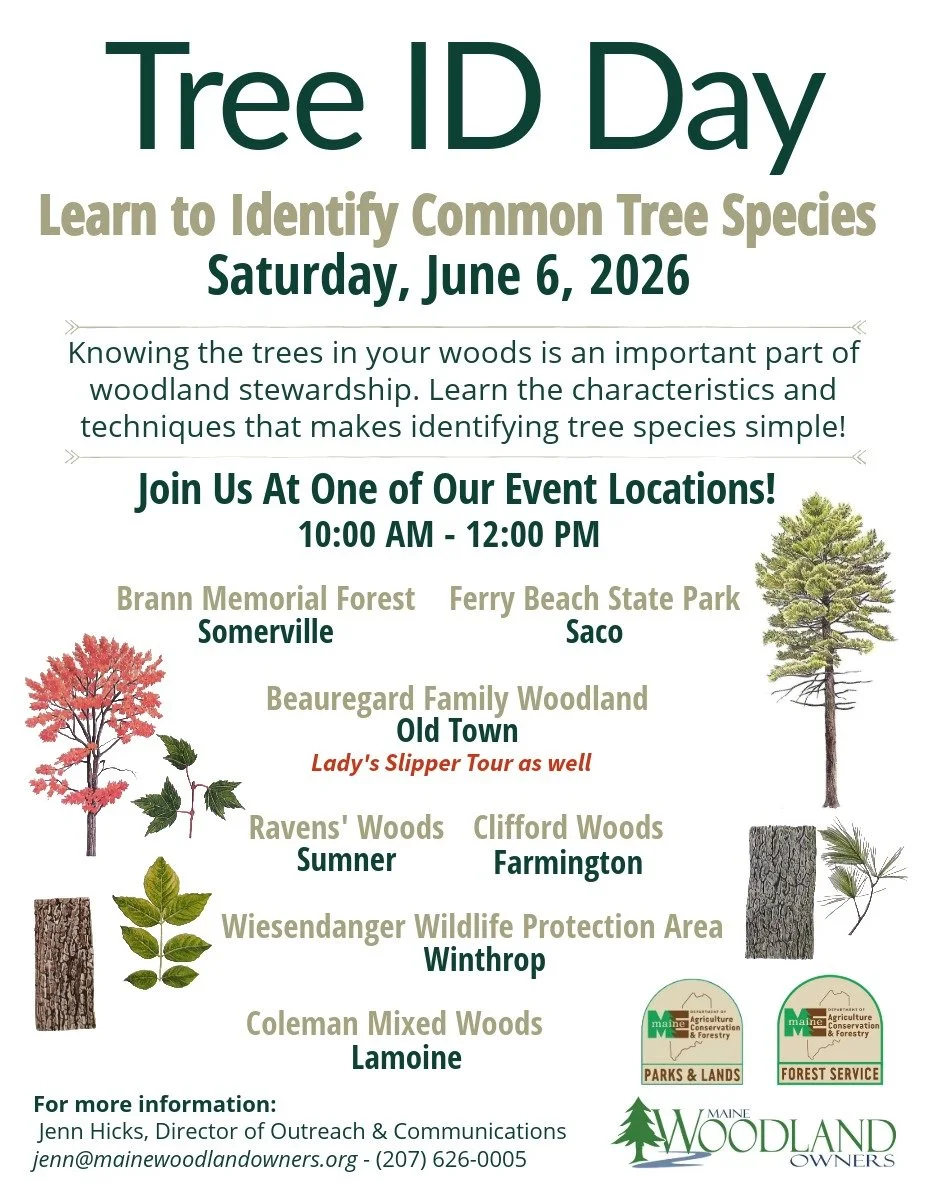 Tree Location Guide Tree ID — Maine Woodland Owners