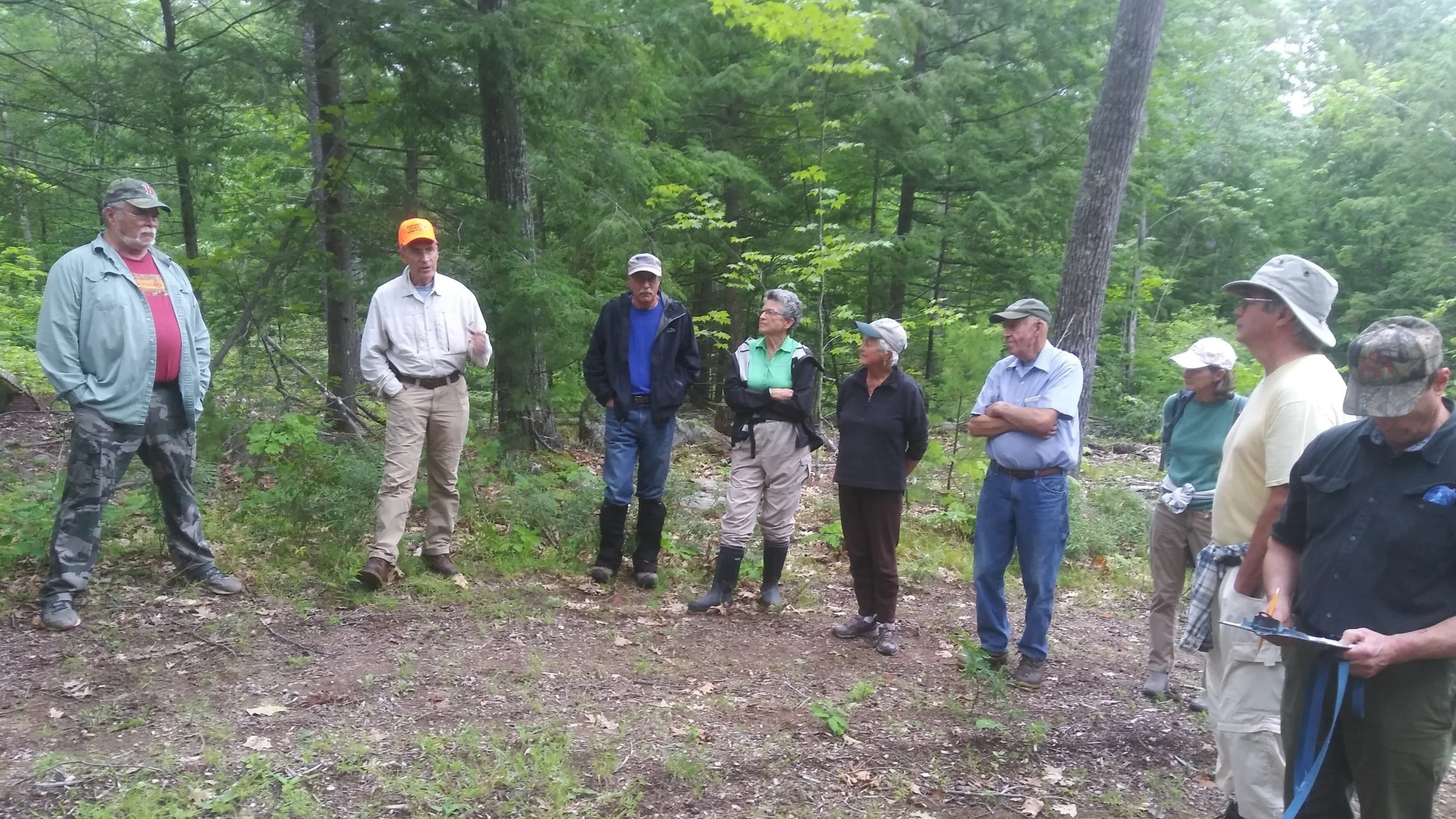 Membership — Maine Woodland Owners