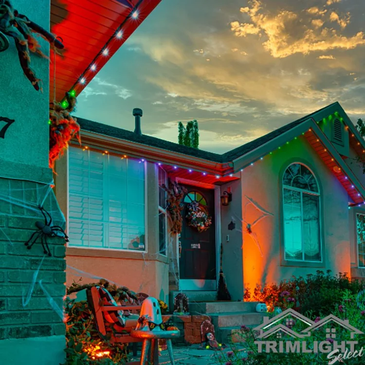 Halloween permanent lighting display