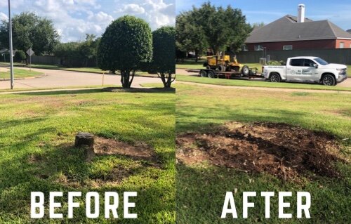 Copy of On Point Tree Service Aug 2020 Ad.jpeg
