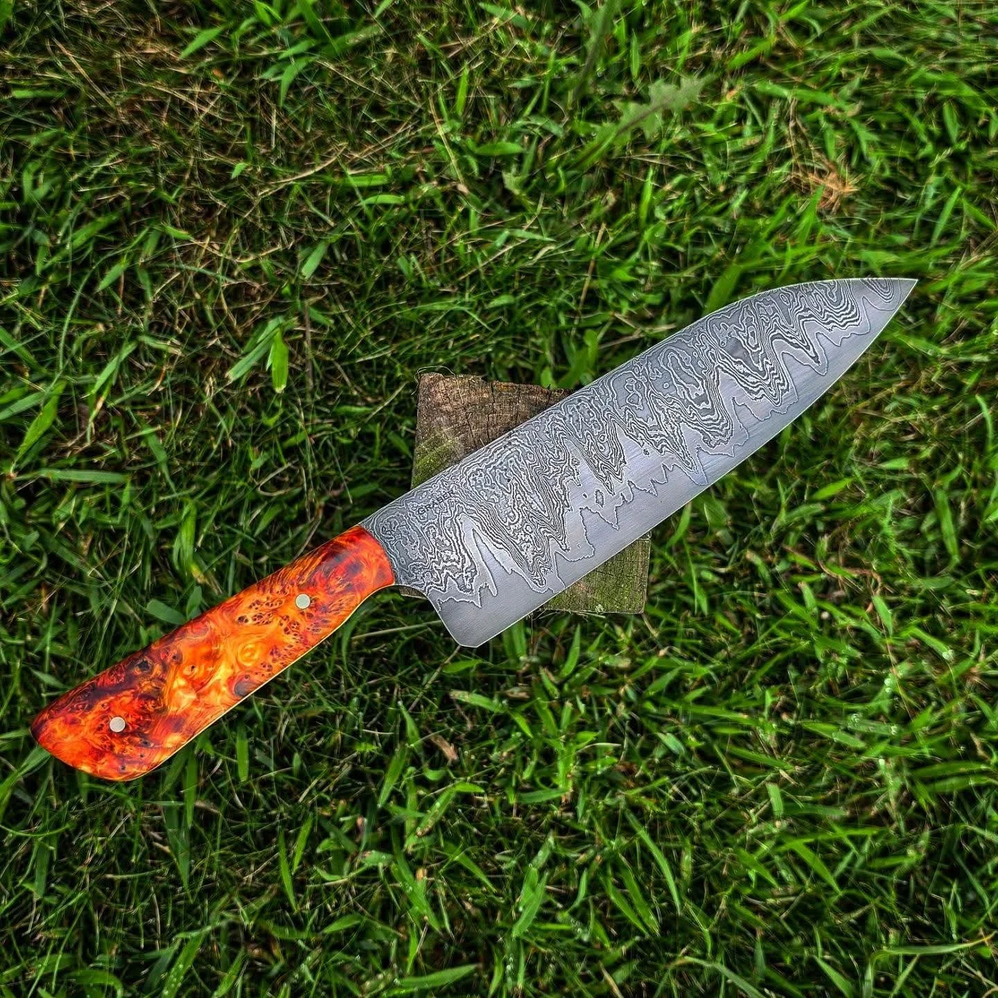 43540.jpg