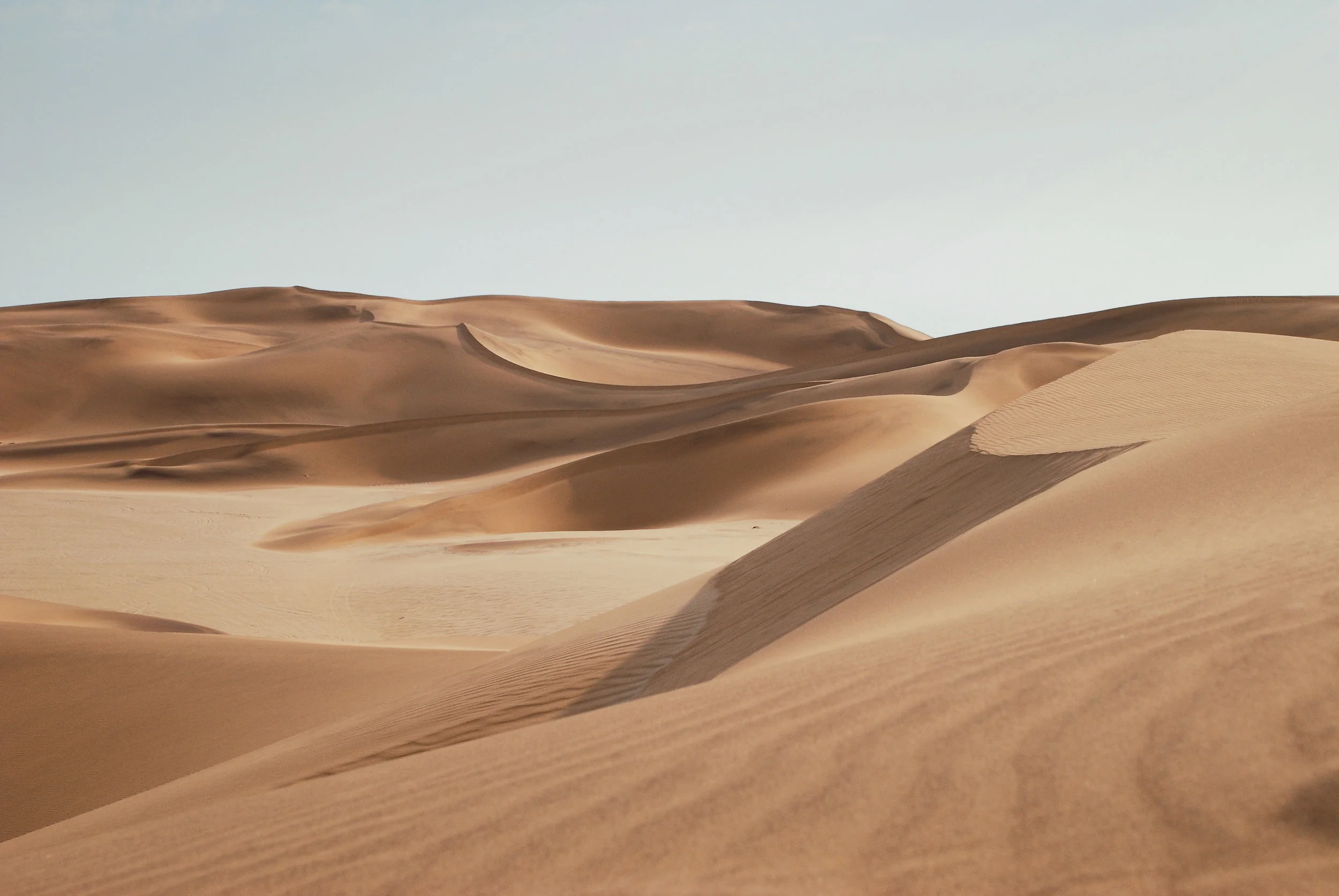 Finding Beauty in Spiritual Deserts