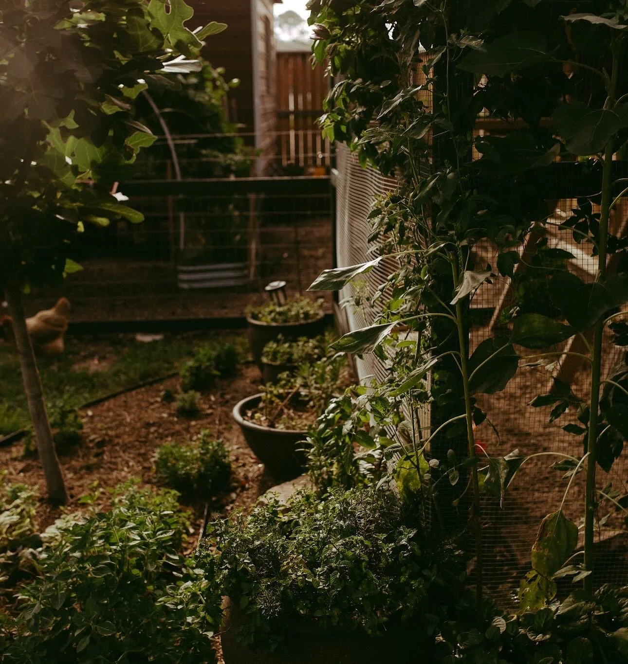 Lately, I&rsquo;ve been thinking a lot about what &ldquo;home&rdquo; really means.

When I was a young wife and mom, I was always searching for the perfect home to raise my children in. I thought if I could just find the right house, everything else 