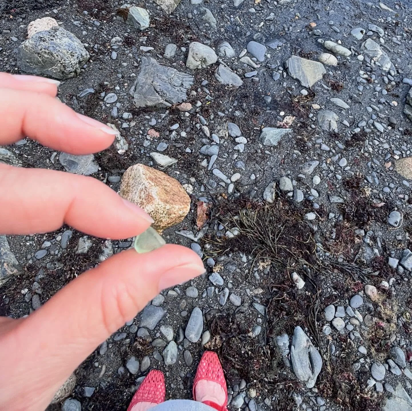 I wanted to find the famous #beachglass and he found it for me 🥹. Find someone who will dig in the rocks 🪨 for you, just to find you little treasures 🪎.

#myfavoritetravelpartner #traveldiaries #notallthosewhowanderarelost