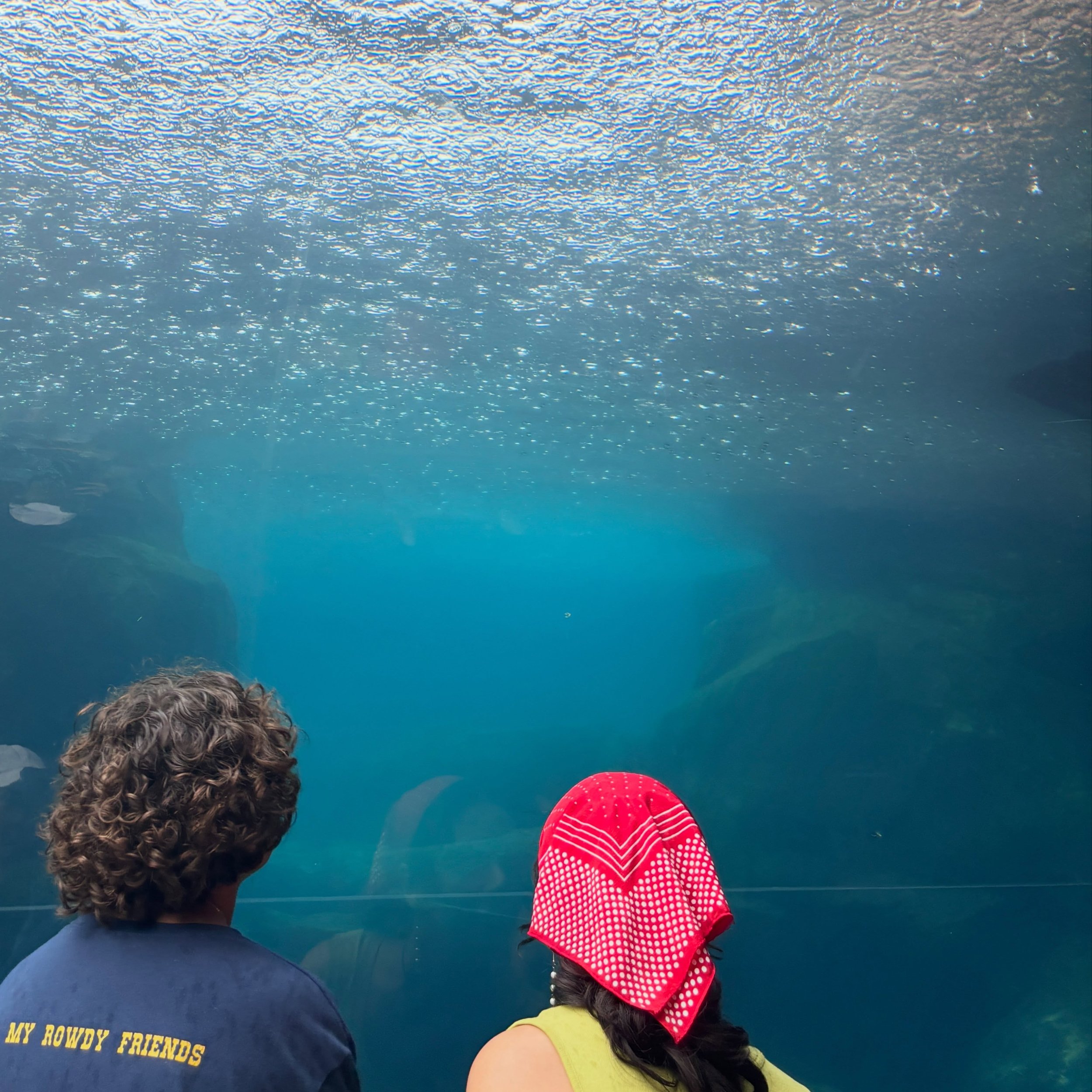 Turns out&hellip; the best day to go to the zoo might actually be when it&rsquo;s raining. 🌧️🦒🐘

The animals were LOVING it&mdash;out, active, playing, and seemingly enjoying the cooler weather just as much as we were enjoying watching them. 🤎

A