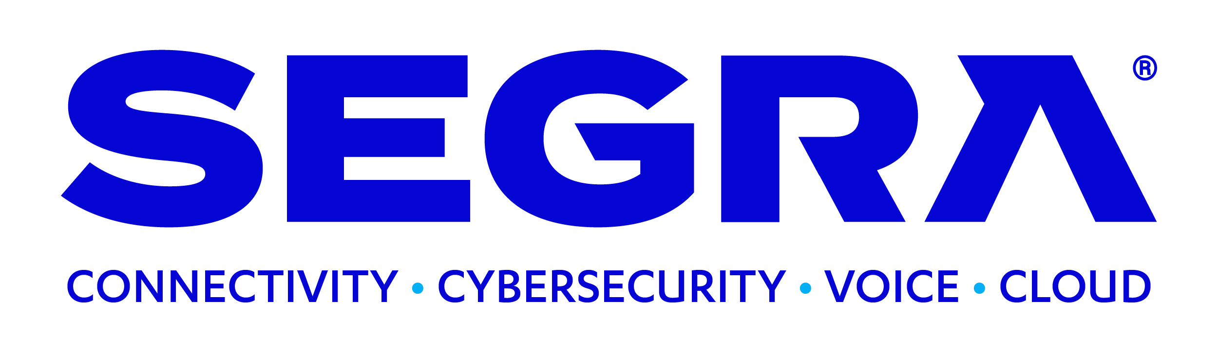 Segra_Solutions-01.png