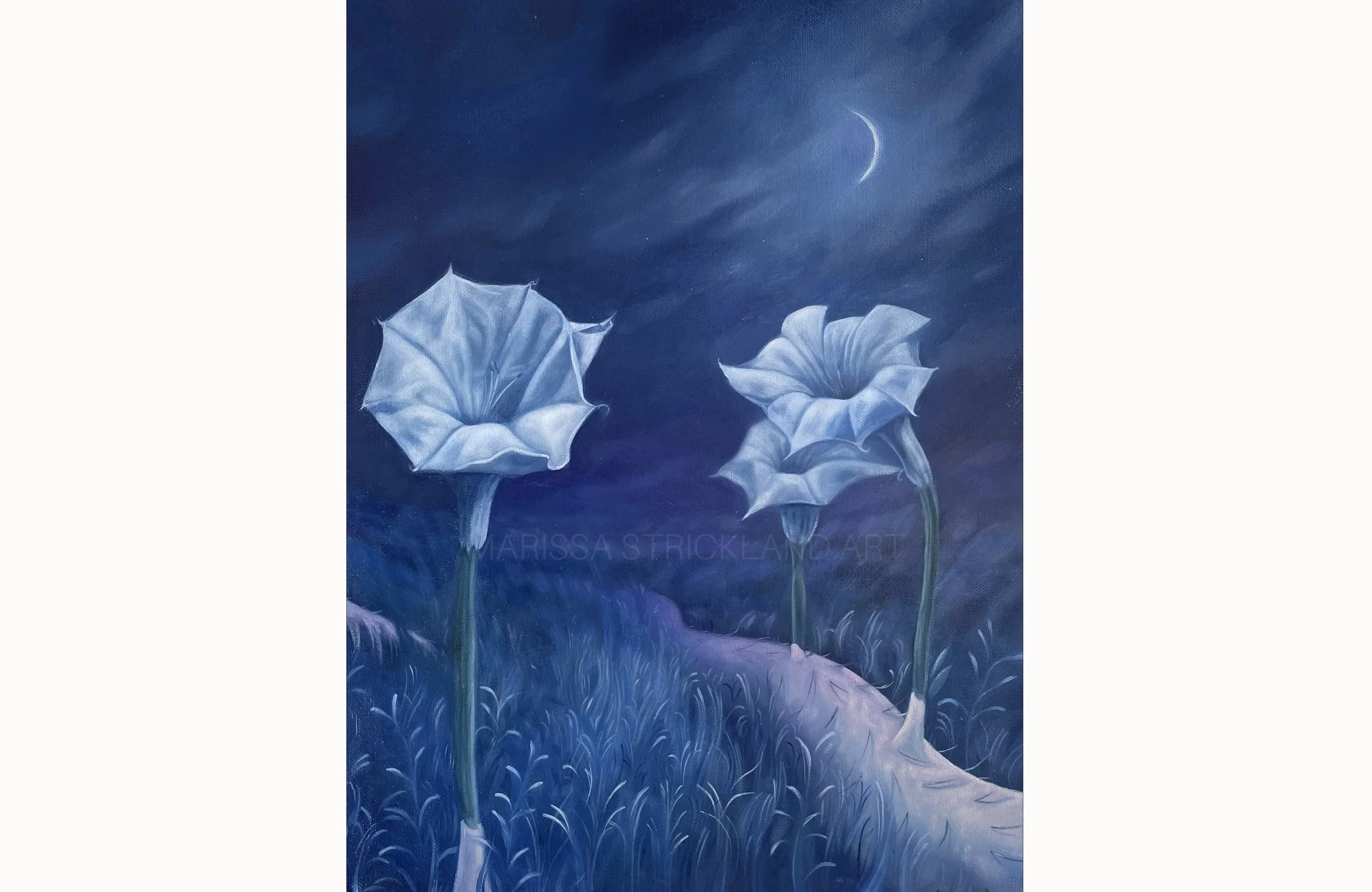 Moon FlowerWEB.jpg