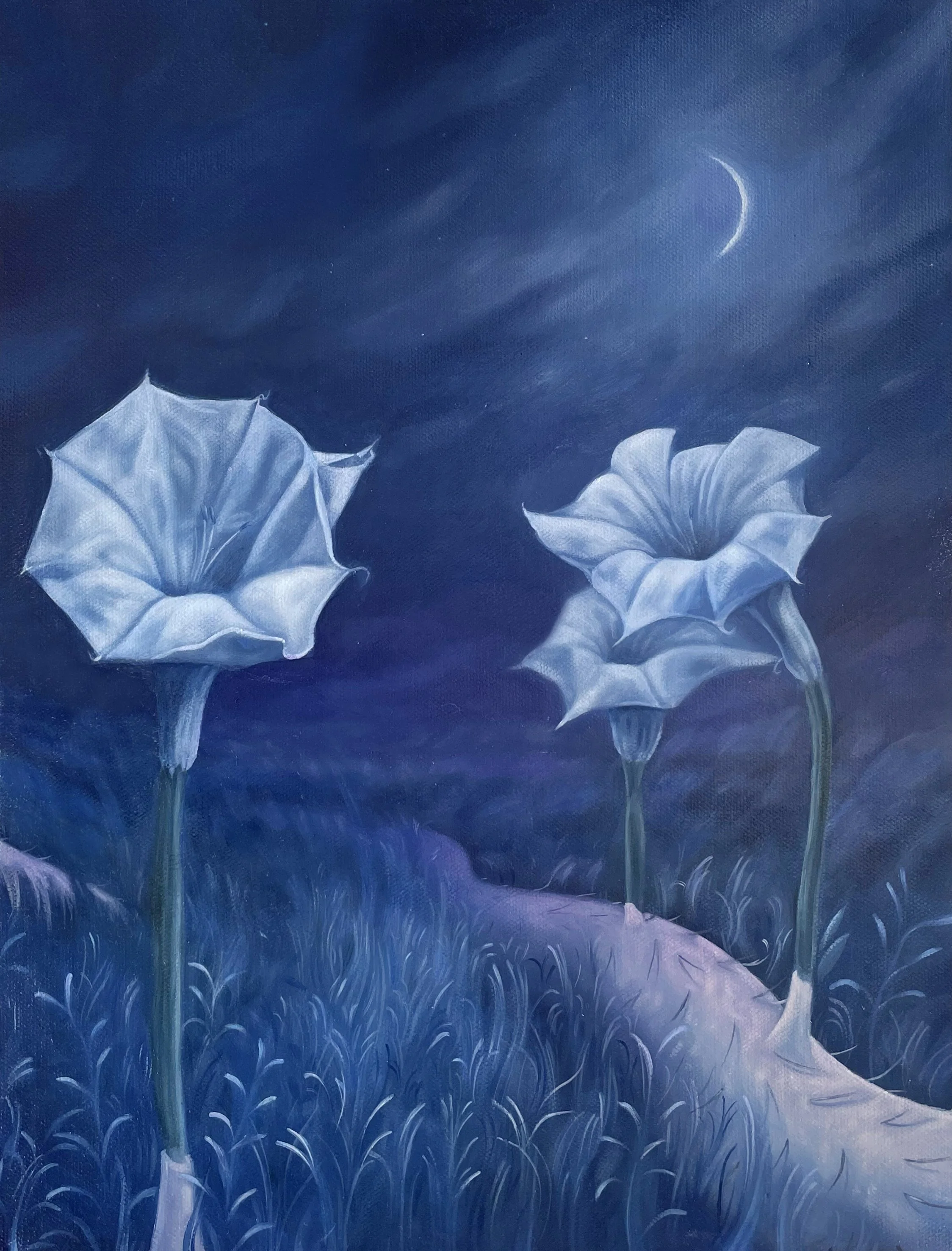 Moon Flower.jpg