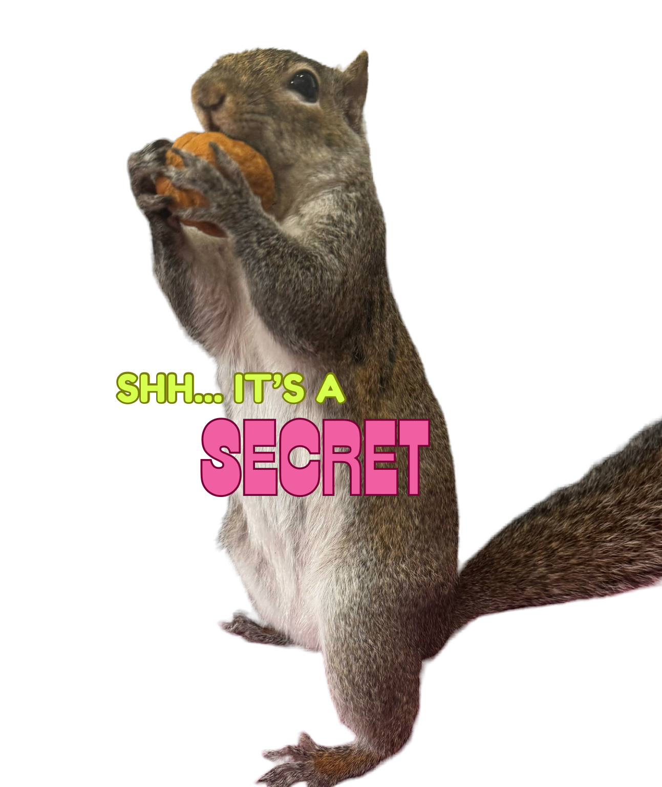 59C32BEA-162E-49E8-A2DE-E886BCDF6B49.png
