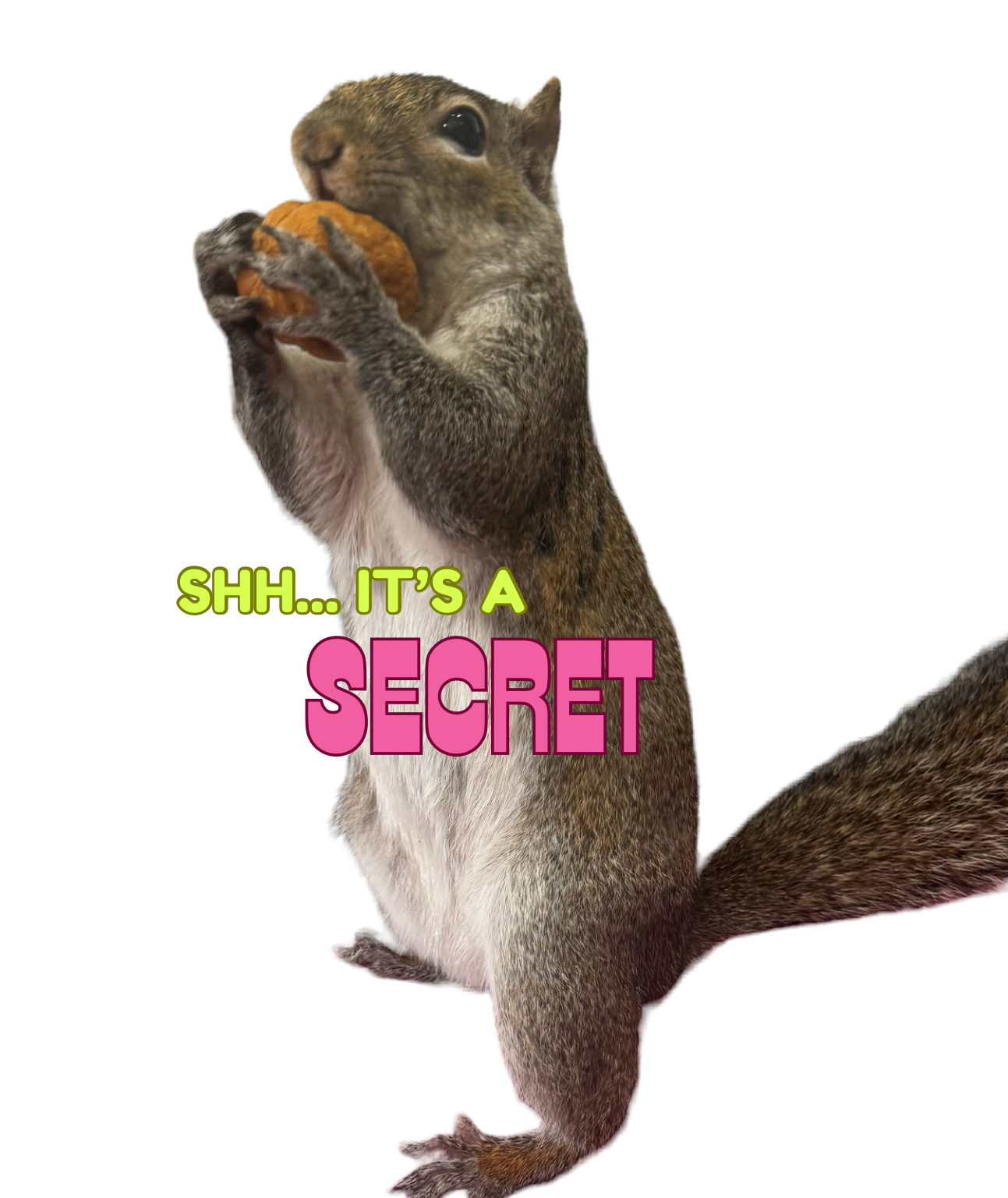 009E451F-6C87-4671-BF50-1EDF495401EE.png