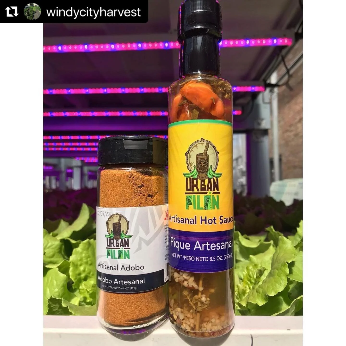 This is an important step in expanding the Urban Pil&oacute;n local brand. You can now find Urban Pil&oacute;n Products on Chicago&rsquo;s Southside. Thank you @windycityharvest for having the artisan pique and adobo on your shelves. #windycityharves