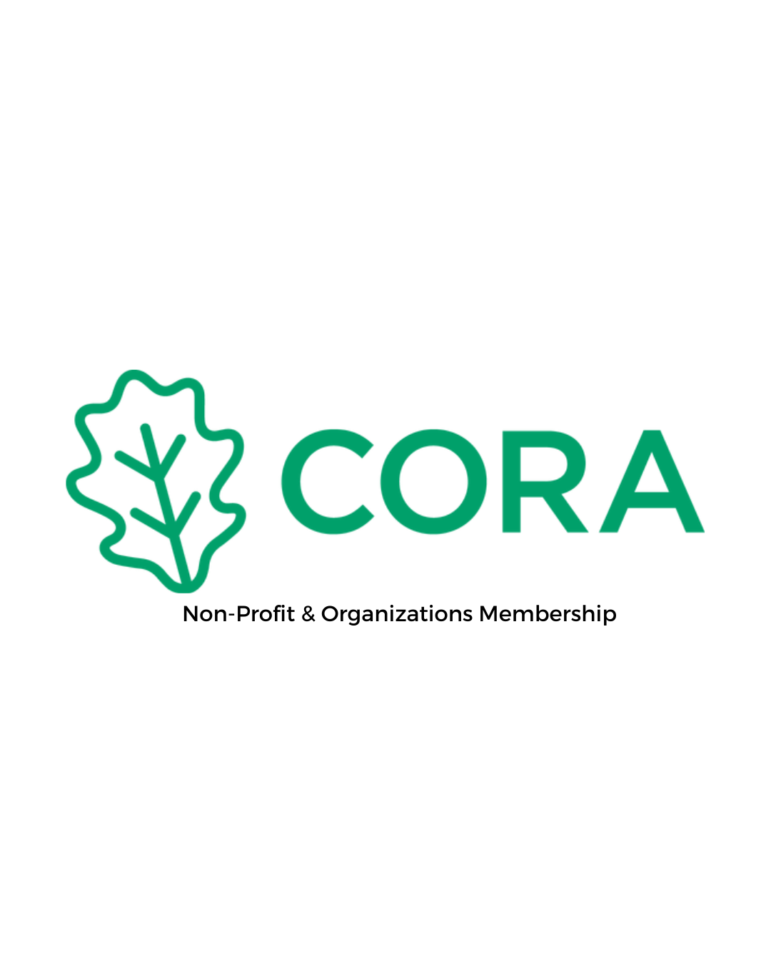 Copy of Untitled (Instagram Post (45)).png