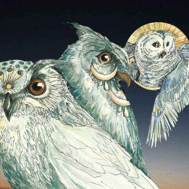 owls.jpg