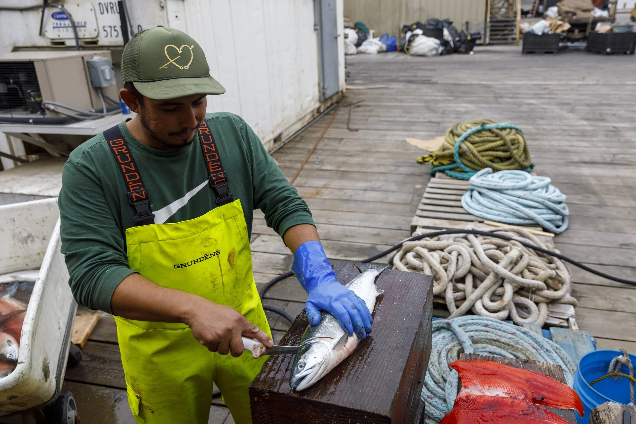 salmon_website-11.jpg