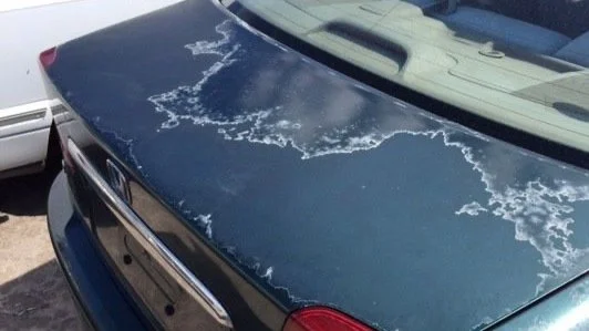 How to Fix Car Paint Oxidation: Easy Steps for a Stunning Shine