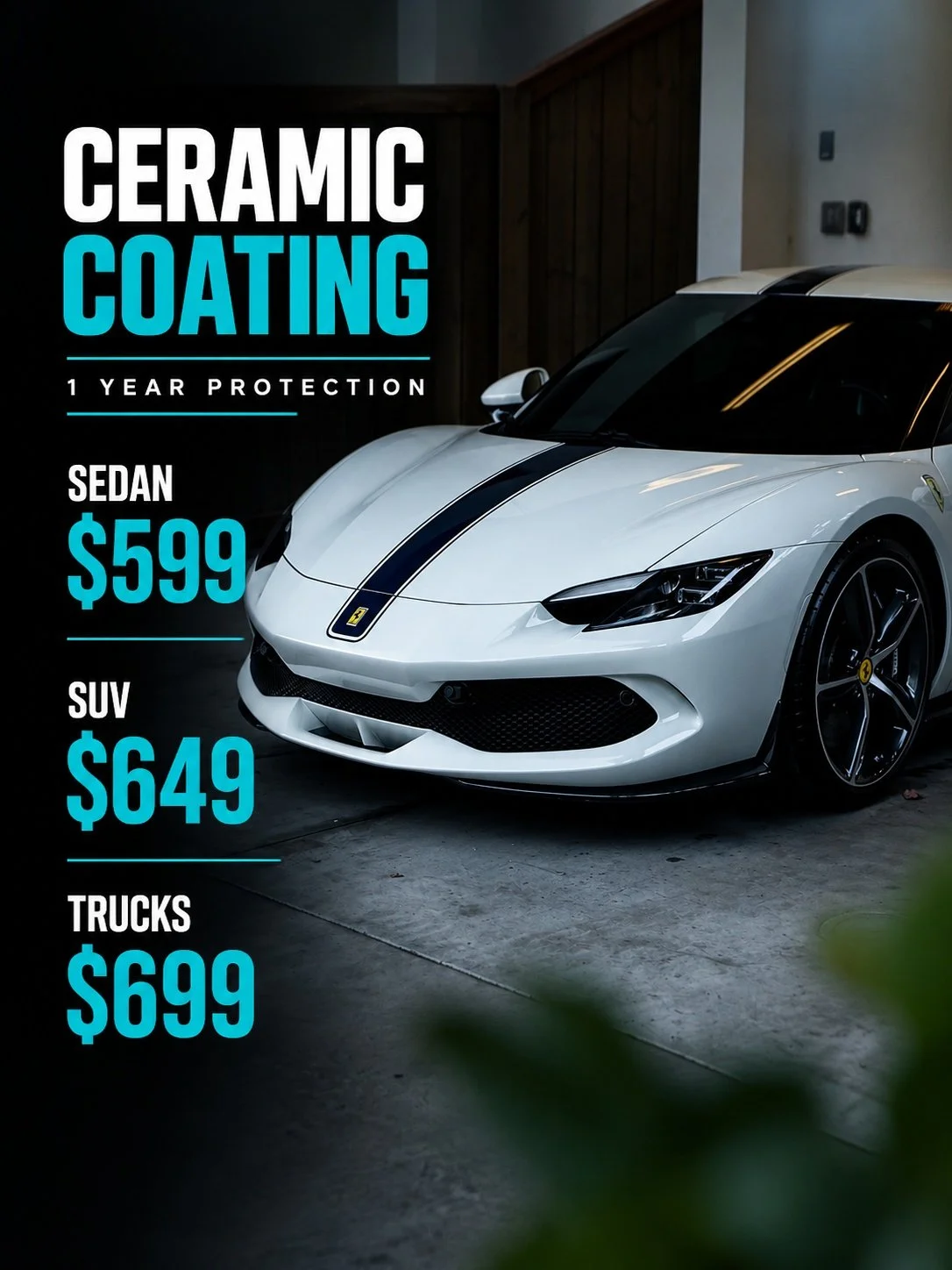 Ceramic coating 1 year of protection