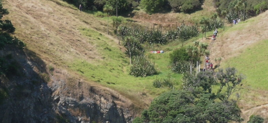 Screen Shot 2025-01-22 at 4.23.41 PM.png