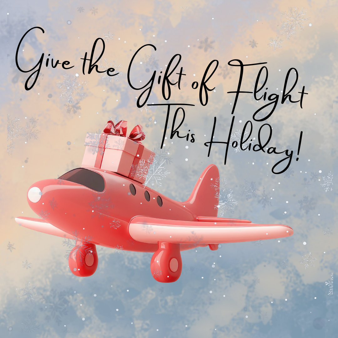 Let  Dreams Take Flight This Holiday Season