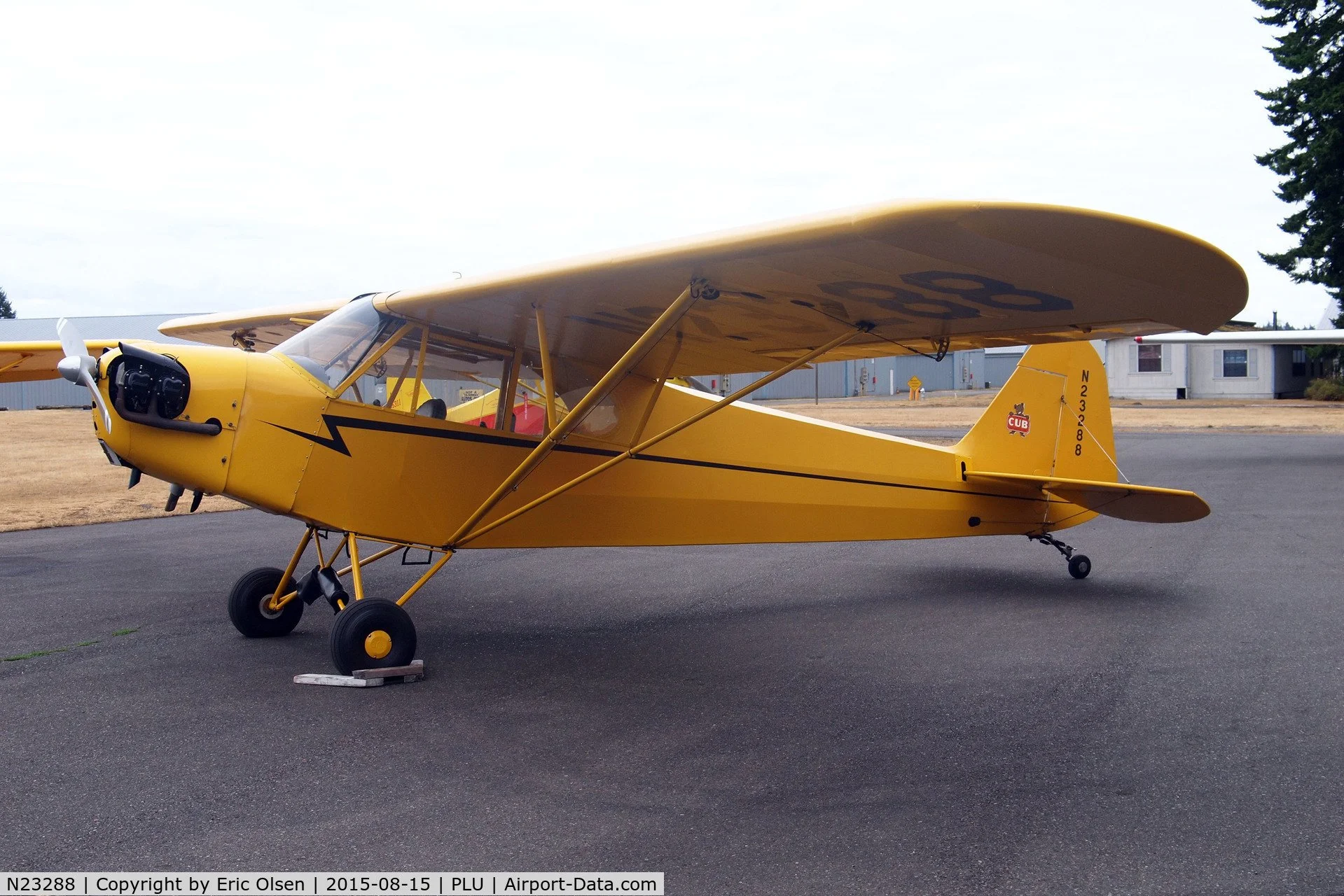 Tailwheel Piper Cub N23288 Safety In Motion Flight Center