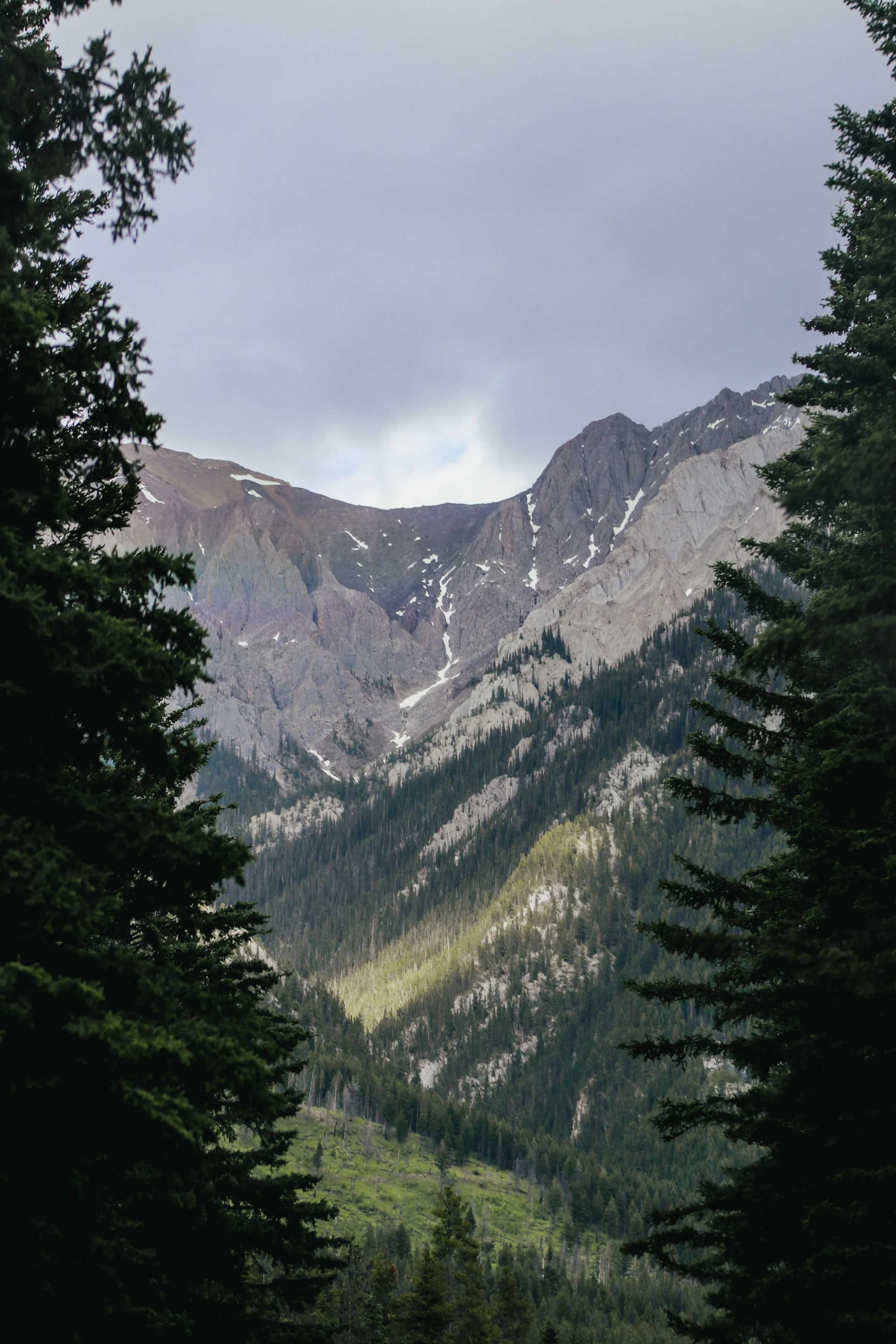 IMG_8937.jpg