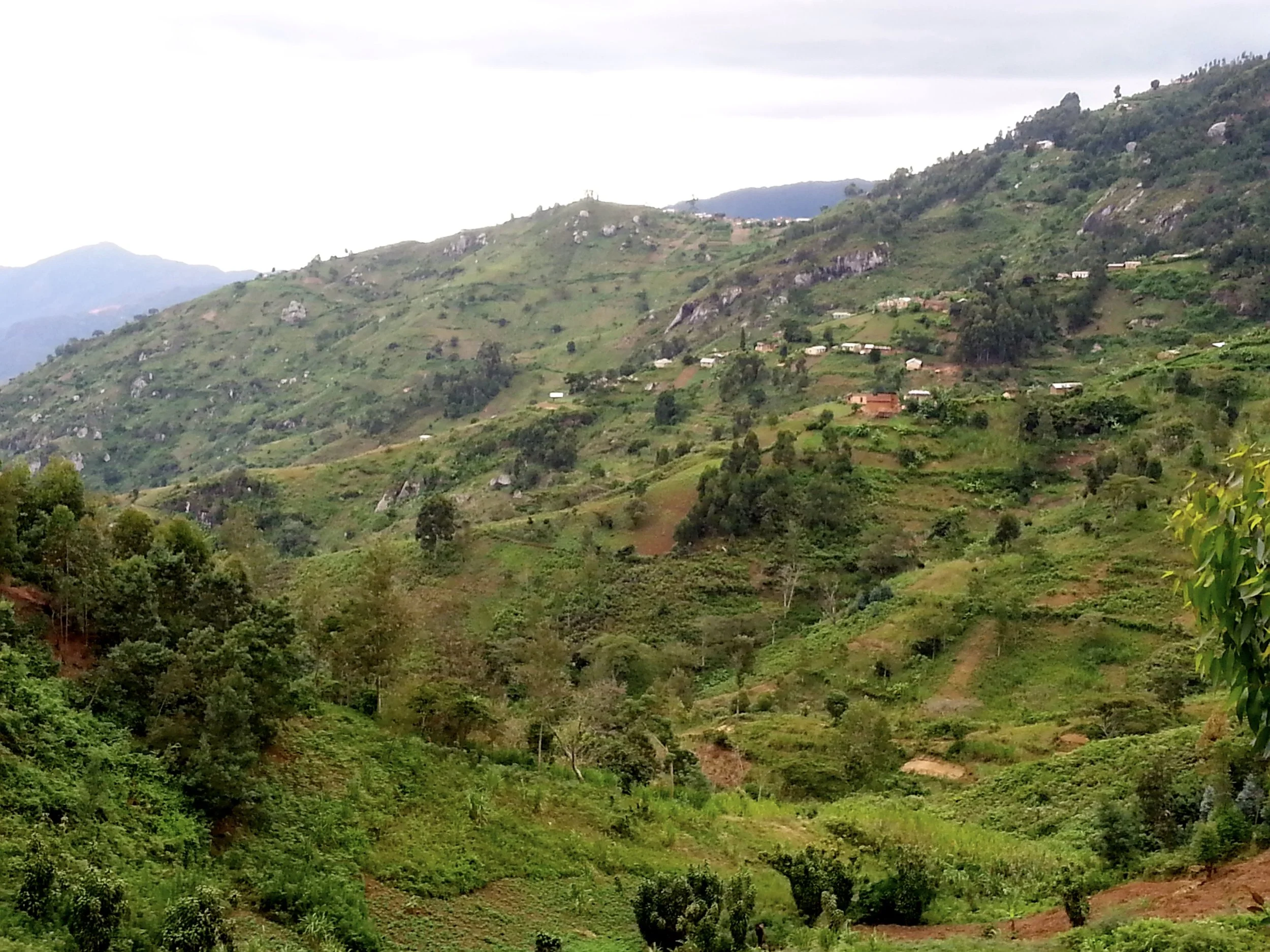 2014-06-08 16.37.31.jpg