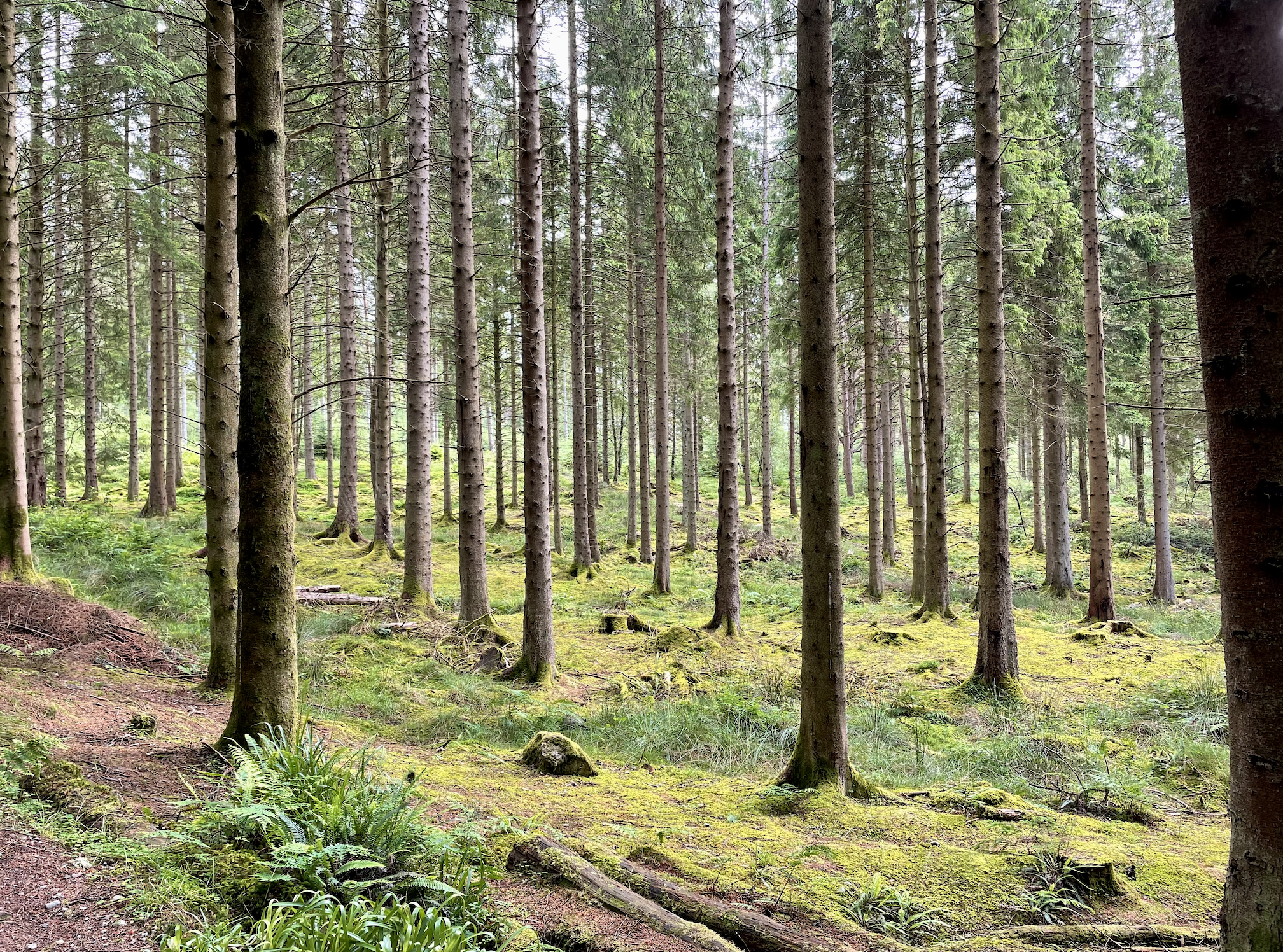 Screenshot 2024-03-02 at 7.01.36 PM.png