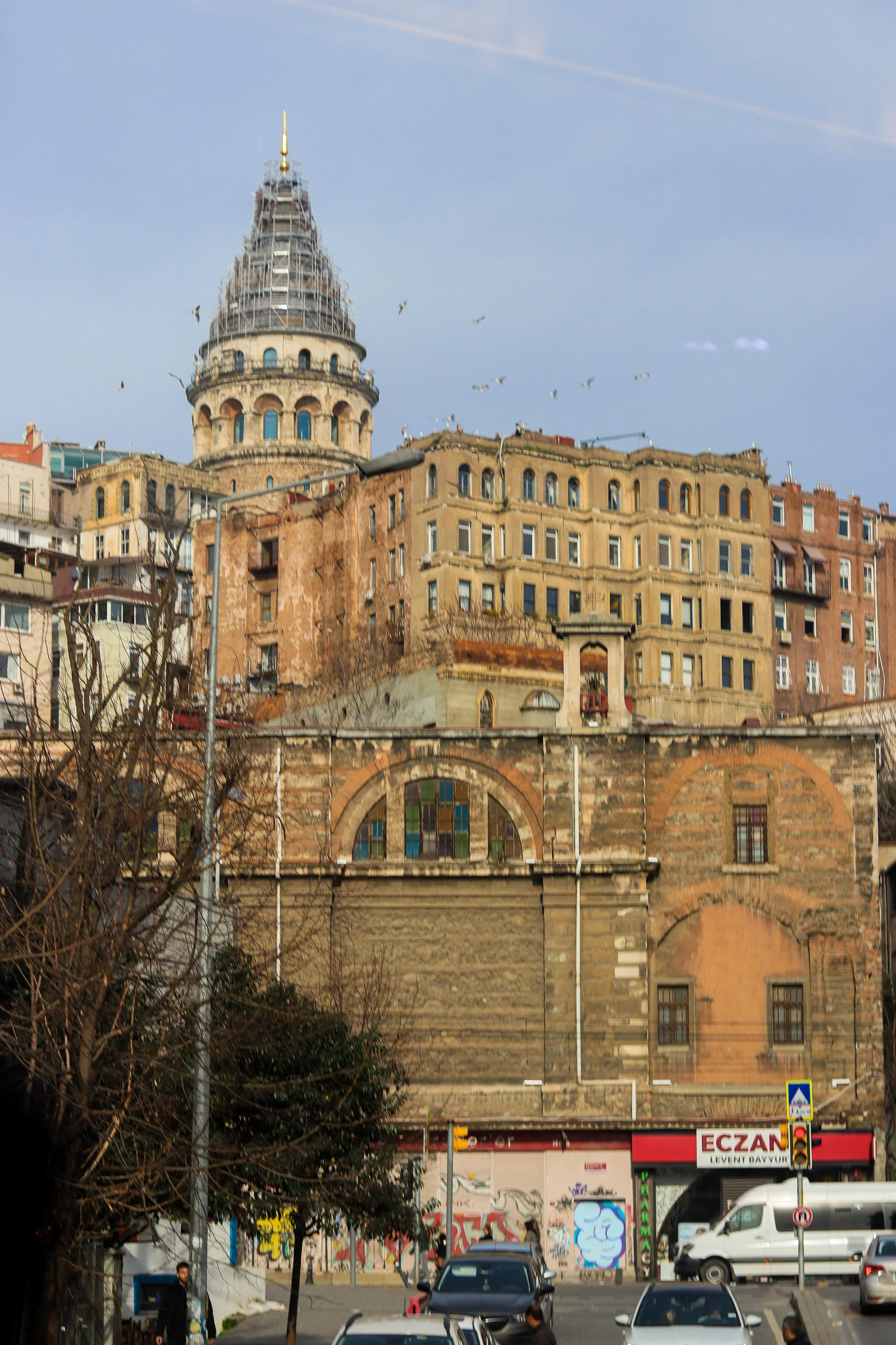 IMG_7191-2.jpg