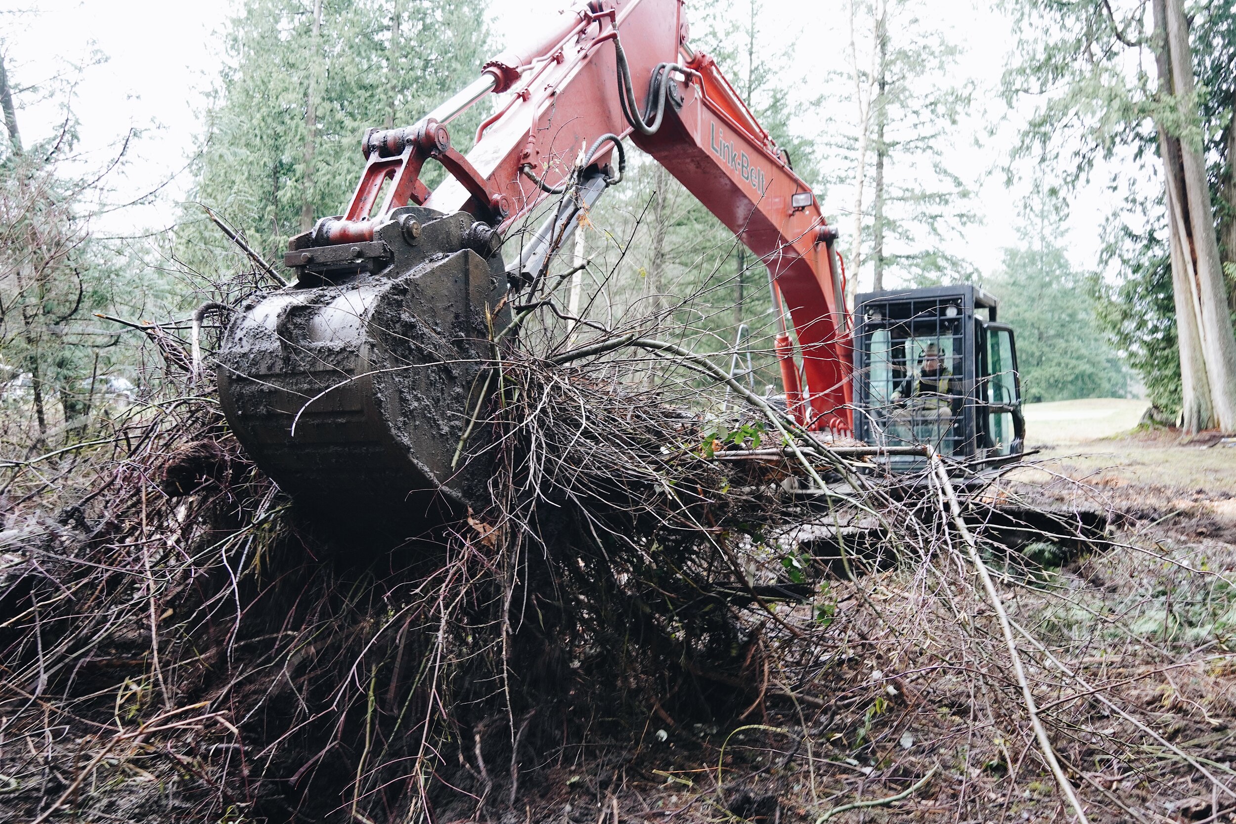 Stump Removal Excavation